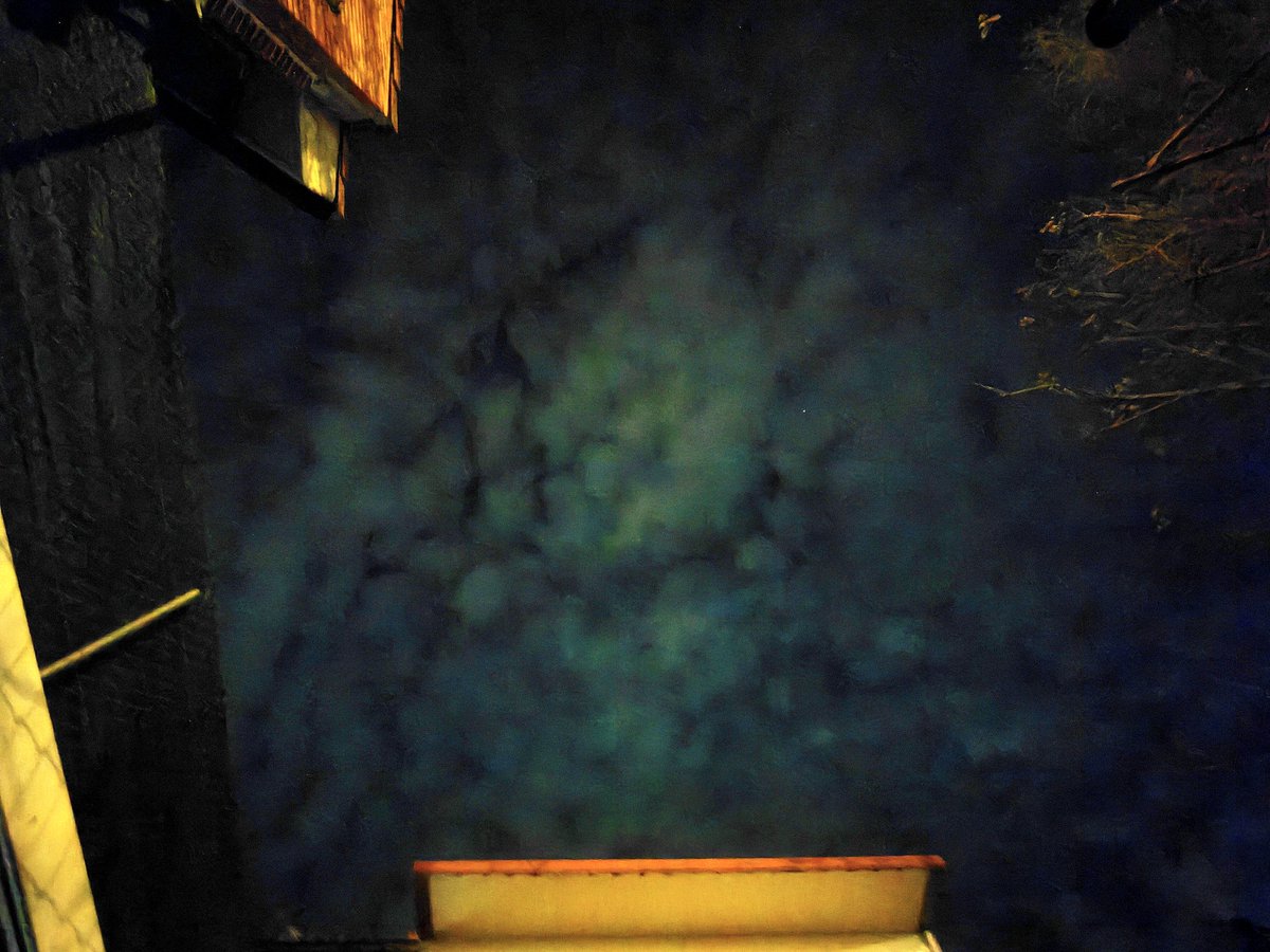 🅼🅸🅶🆄🅴🅻 tweet media