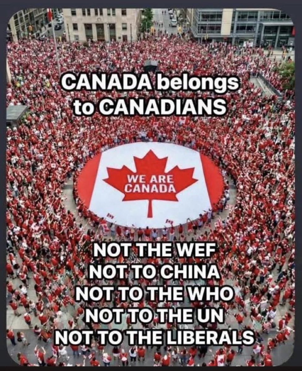 Concerned Canadian tweet media