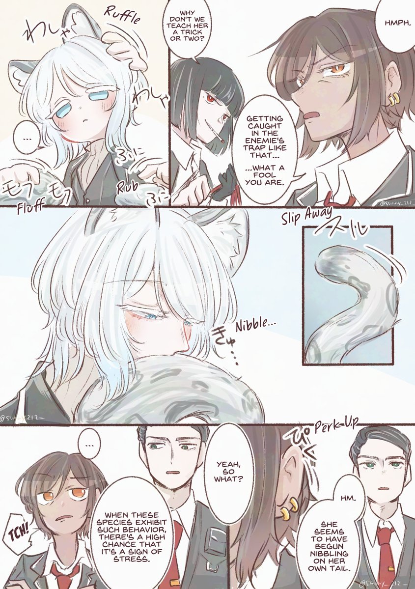 RanDawei21 tweet media