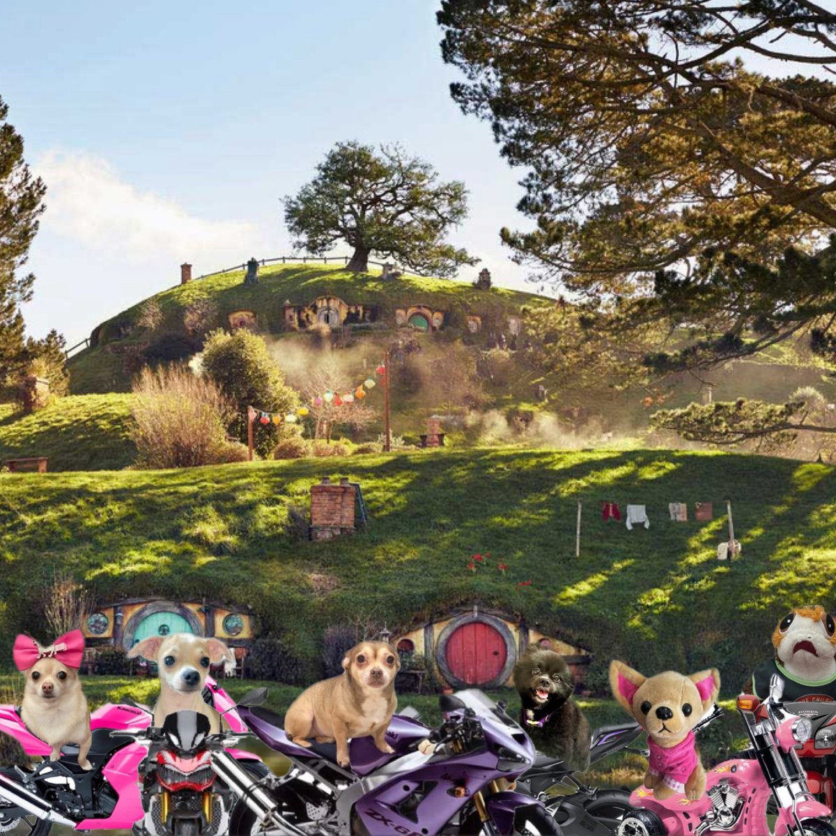 🥔🍕🍪Porgie🍫🏴☠️🏍️ tweet media