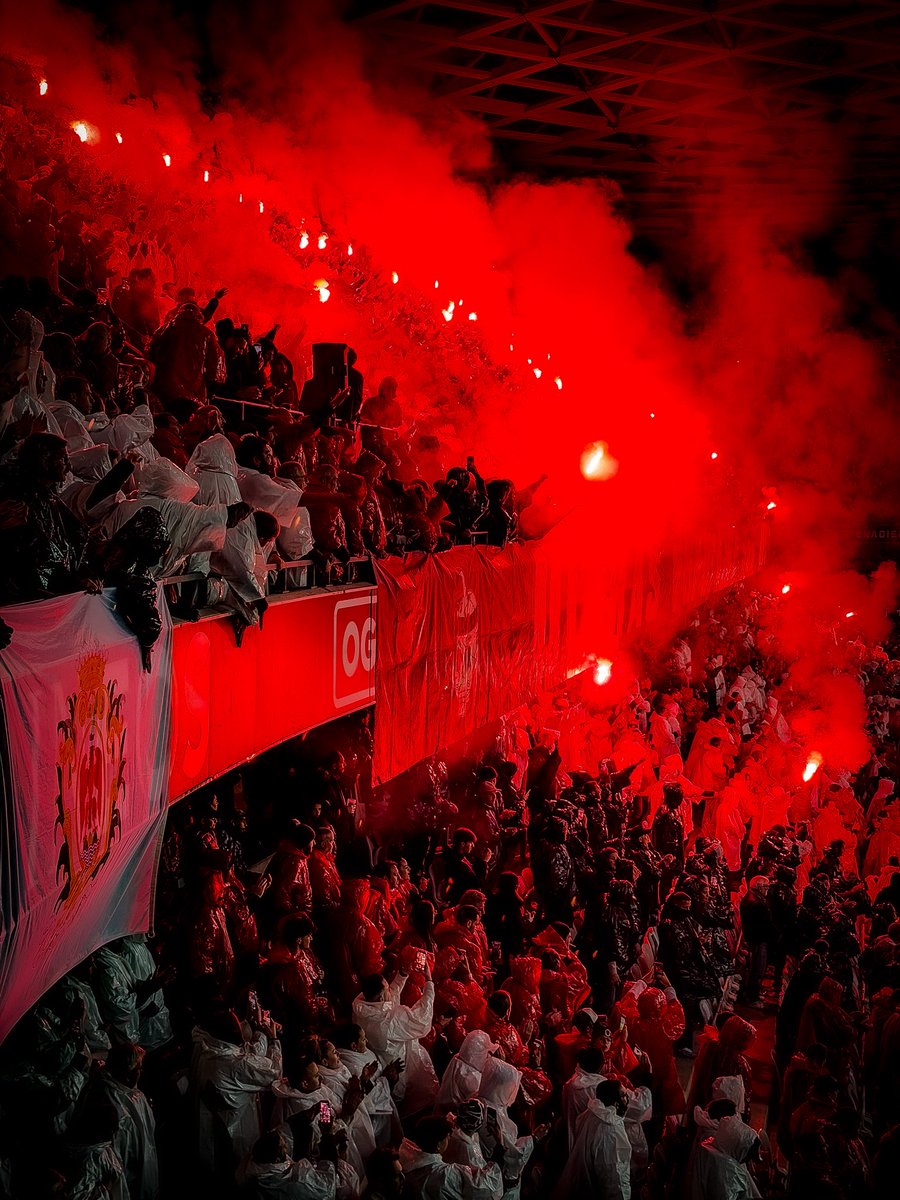 BatJoss 🦇 tweet media