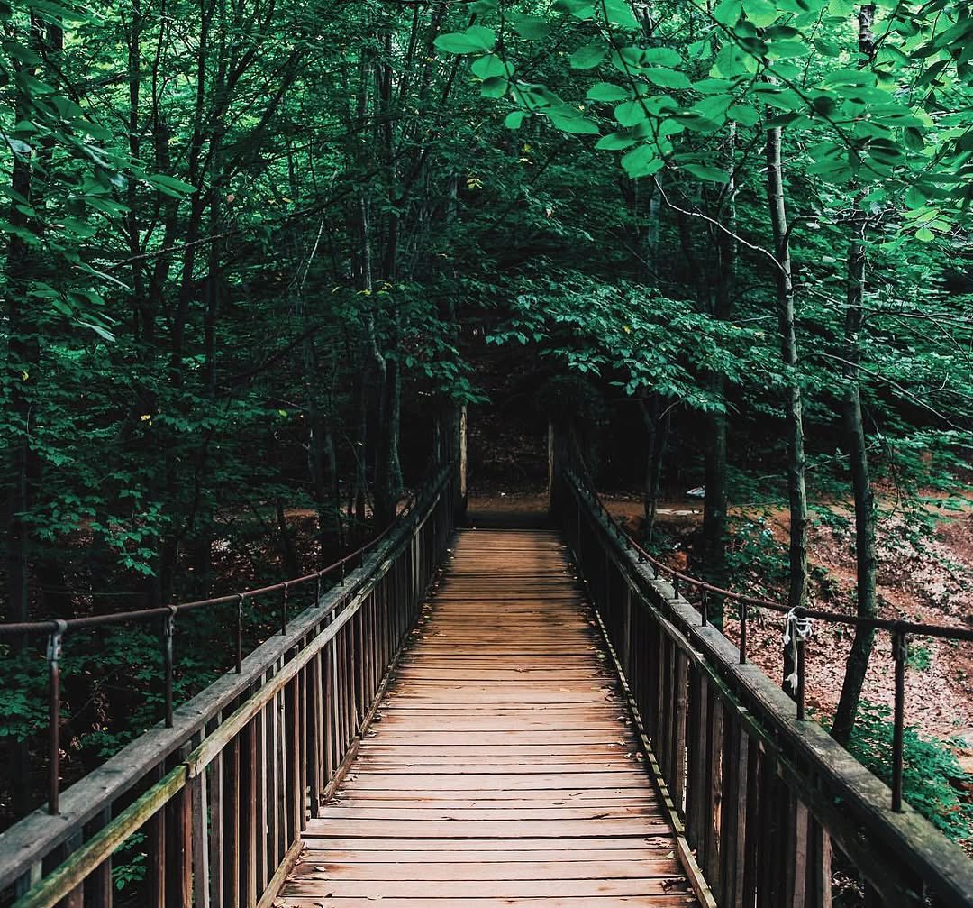 Gitmeliyiz tweet media