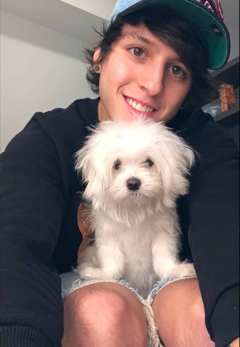 Ƥαυℓιηα ✨ tweet media