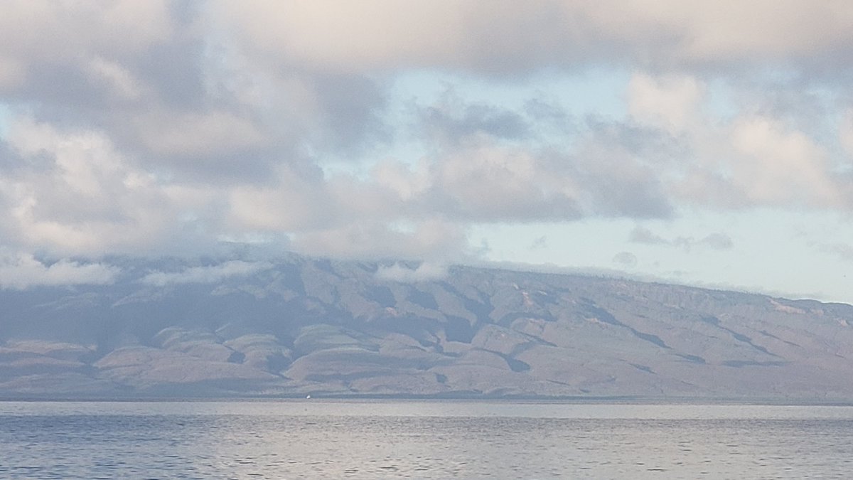 tyeaglesoaring's tweet photo. Due to recent flooding on Maui.  We could definitely enjoy a Teal colored Cyber Truck, Mahalo.🏝 https://t.co/SDu6kVBEgJ
