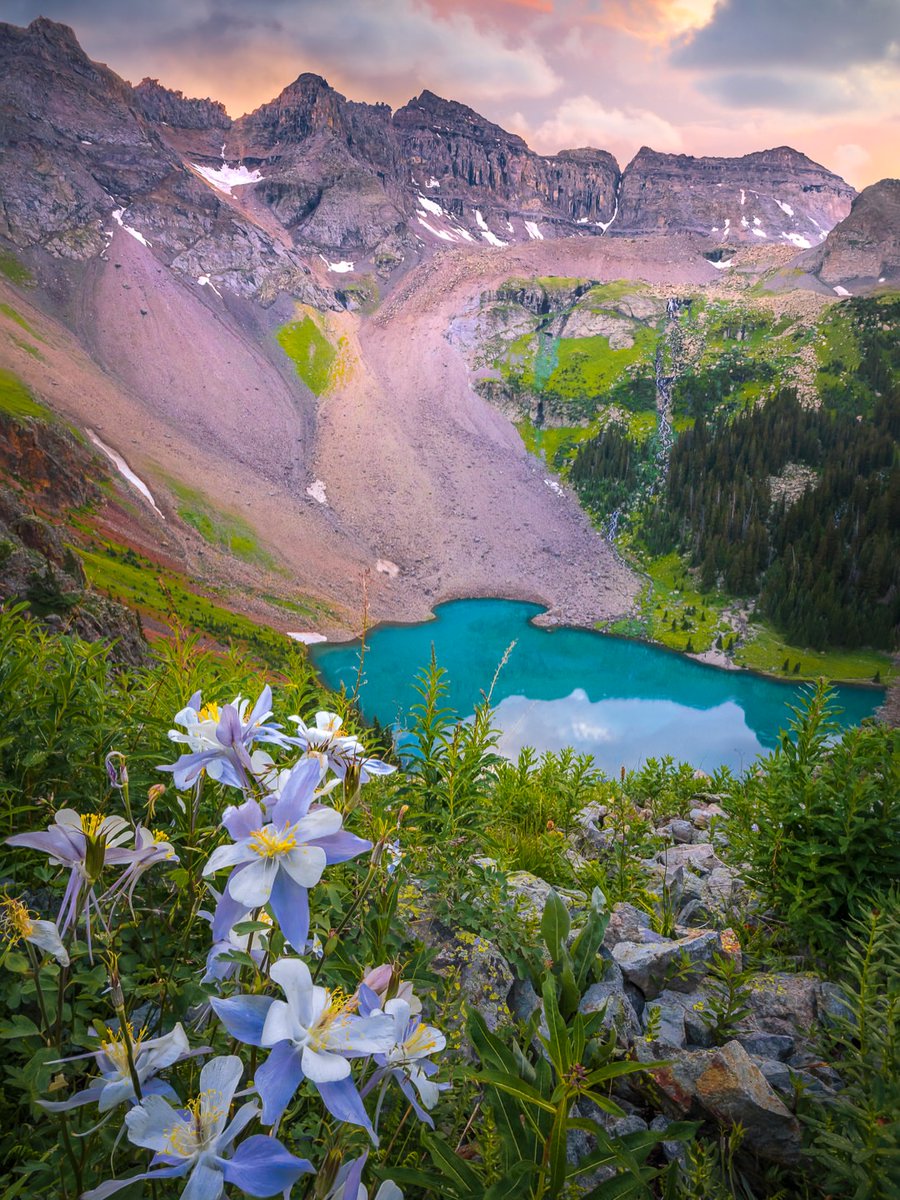 Purely Green tweet media