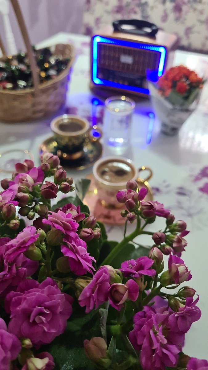 Güllll beee tweet media