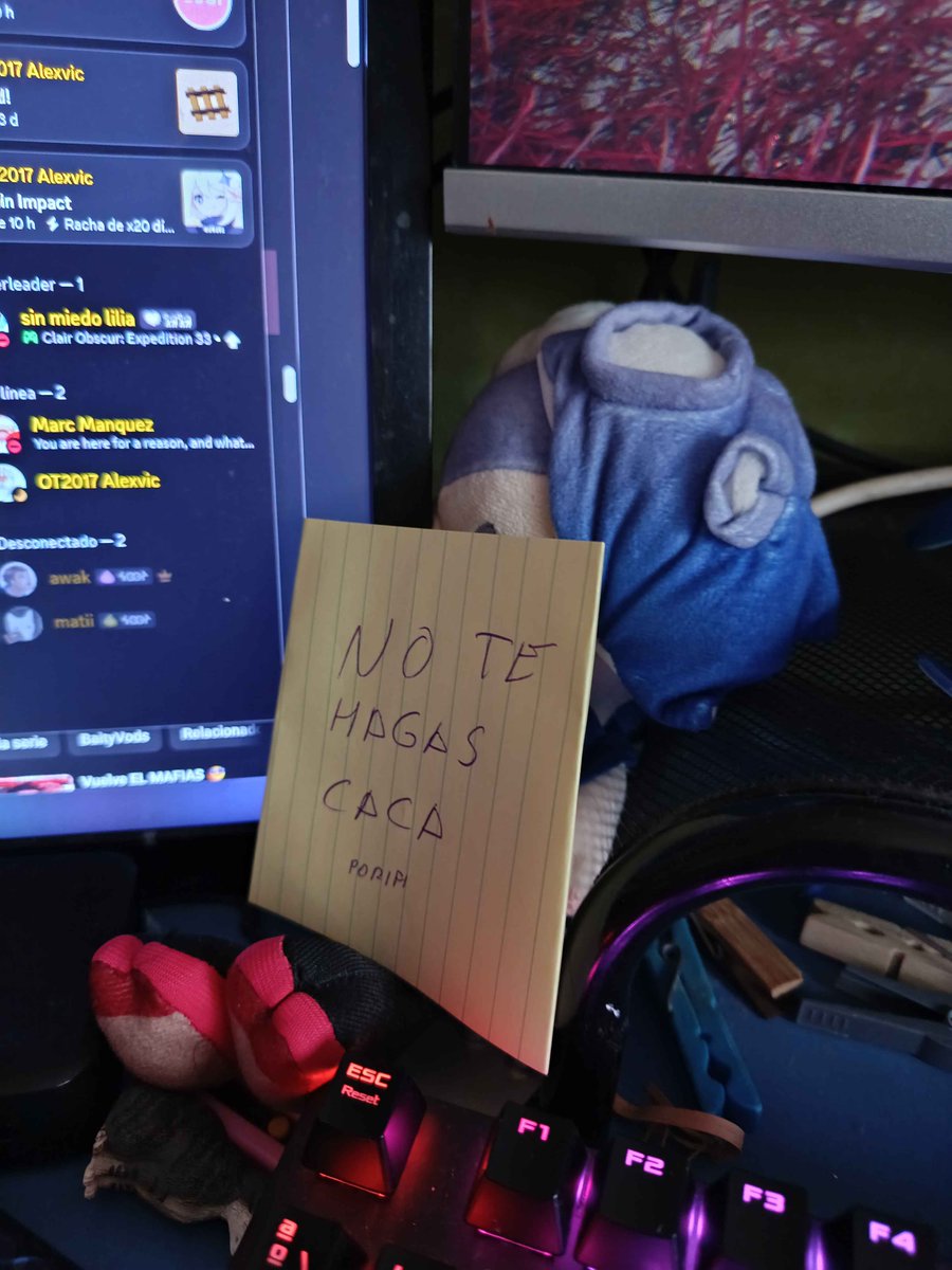 Stαrfish⭐ tweet media