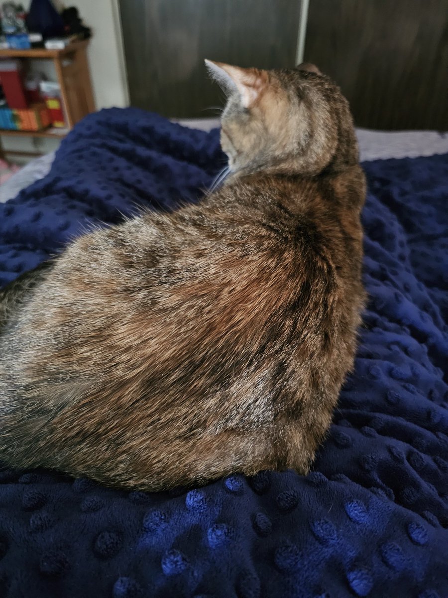 HoltBoi🔞FanBoi tweet media