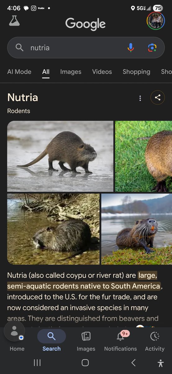 Palmeida tweet media