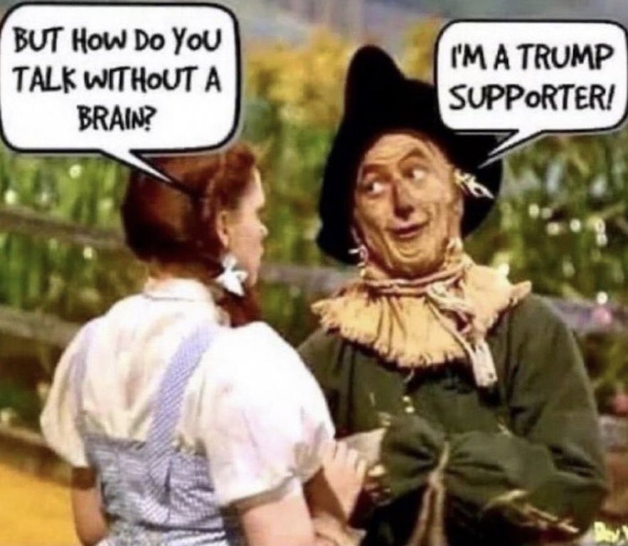 questwho tweet media