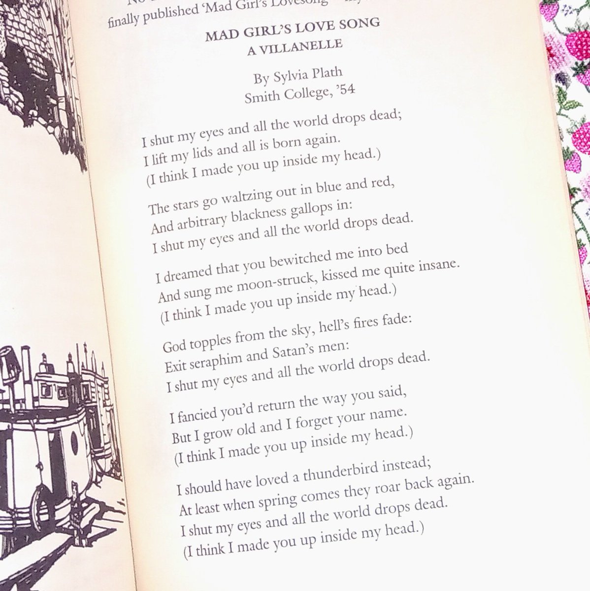 Wanda 💋 is recovering from surgery!! tweet media