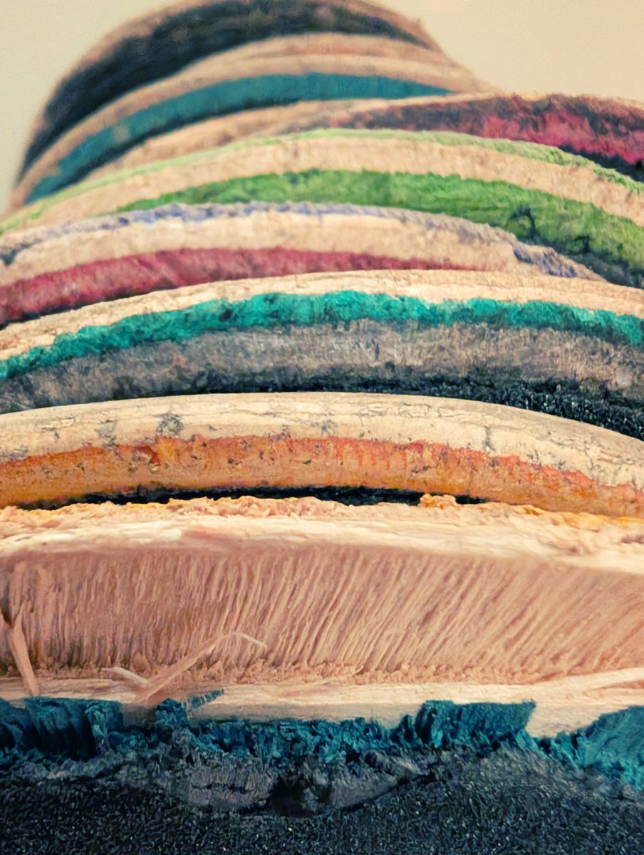 {{{MEANWHILE 3.0}}}, (parenthetical descriptor) tweet media