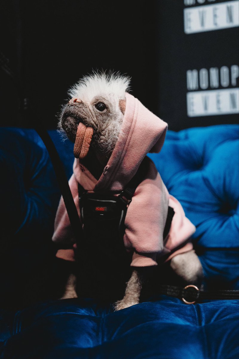 Comic Con Scotland Aberdeen tweet media