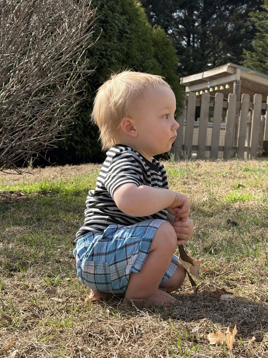 Anna Pingel tweet media