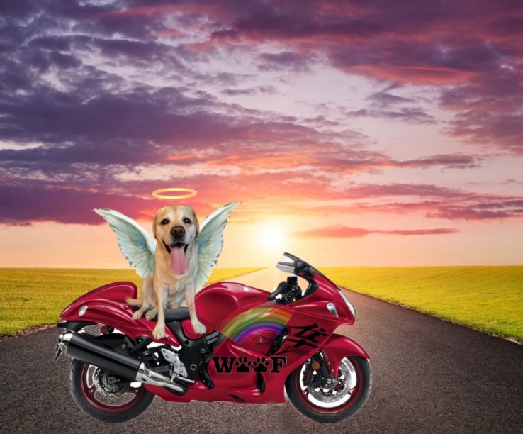 Angel Henry, Olly and Beth tweet media