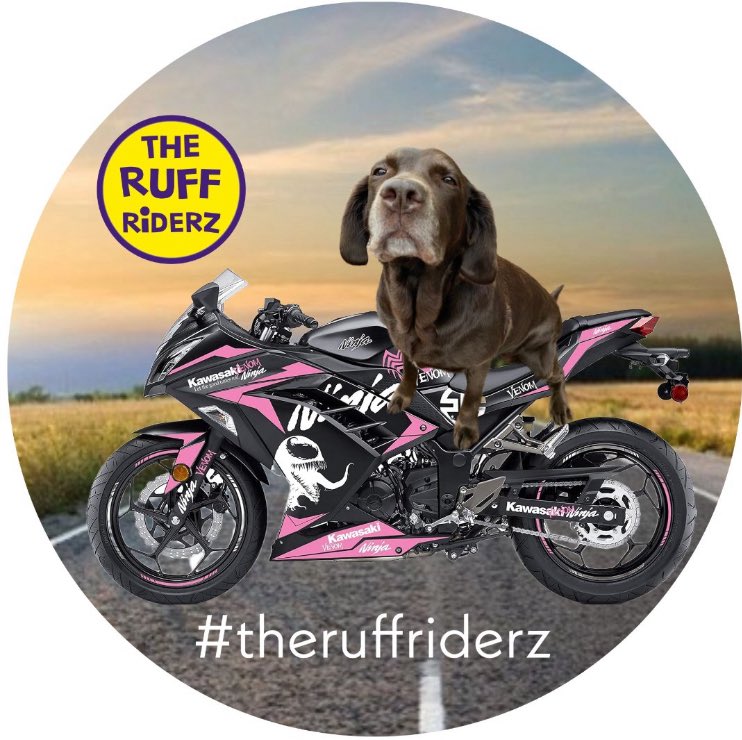 Angel Henry, Olly and Beth tweet media