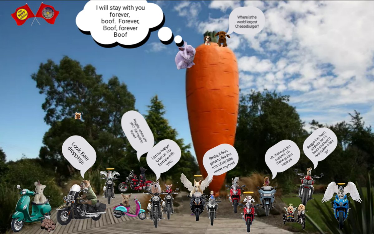 Capt. Carter tweet media