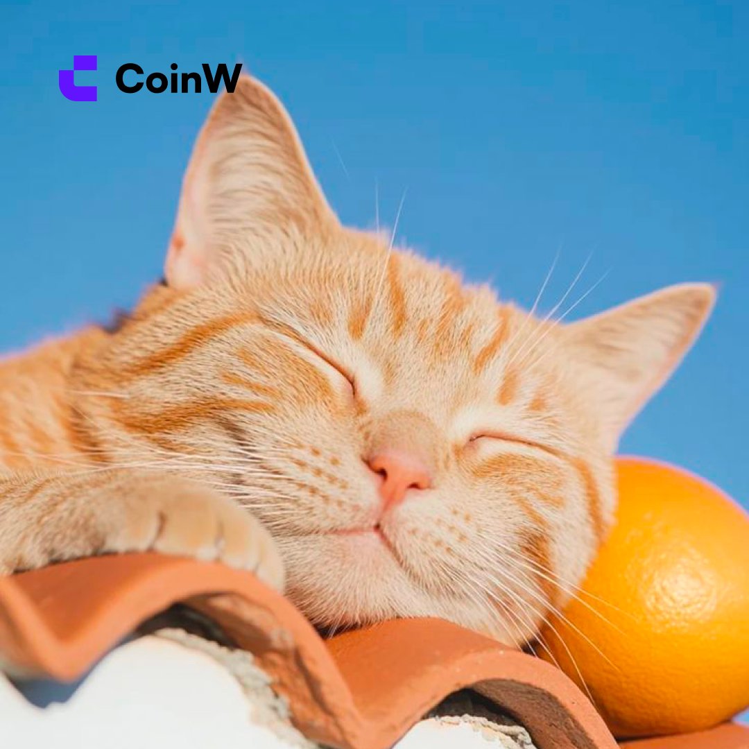 CoinW币赢 tweet media