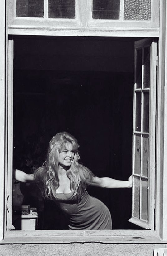 مُهره  tweet media