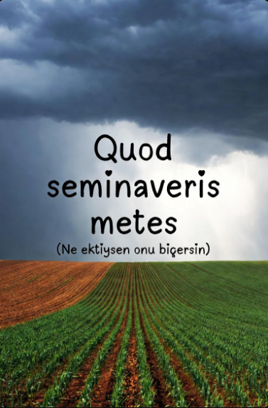 The_G a z e t t i s t tweet media