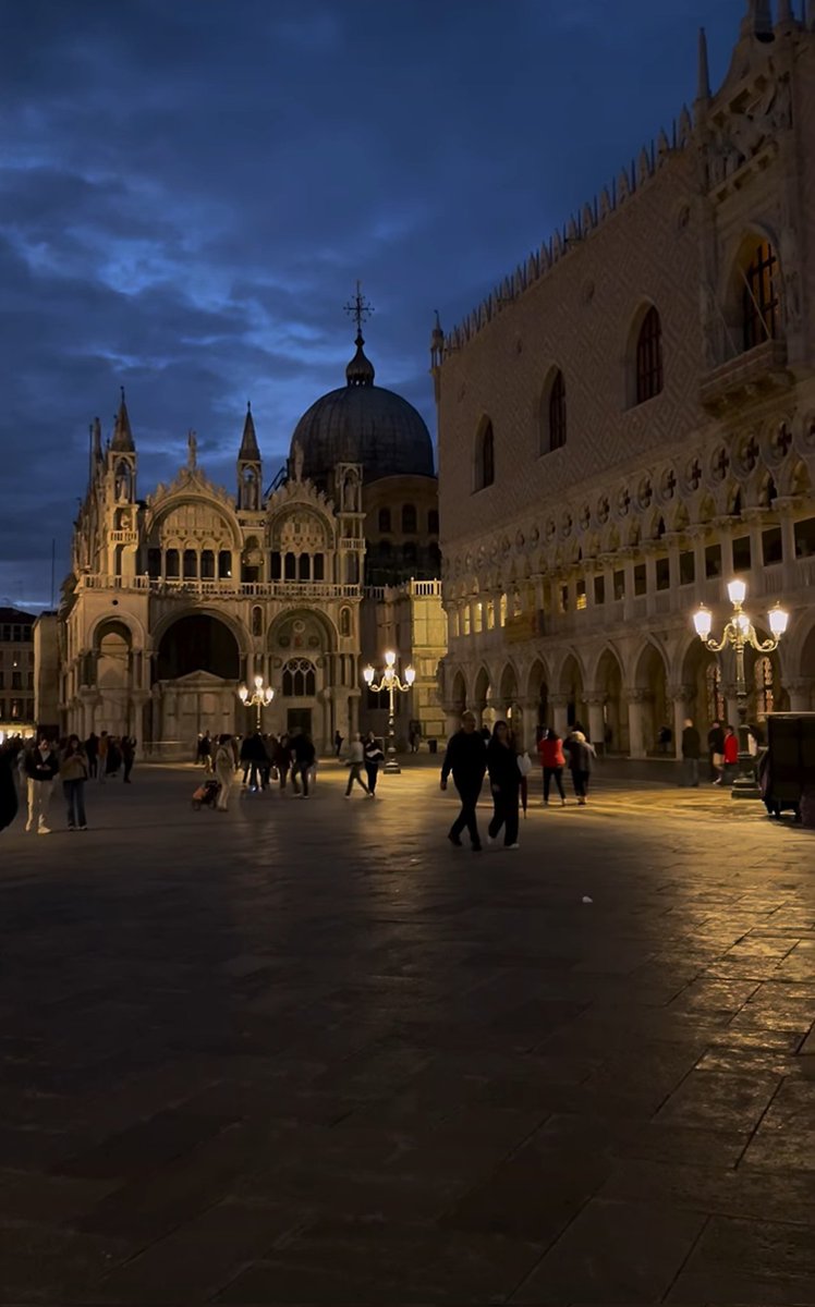 Monica 🍀⚘️🌍📚🐞🎧 tweet media