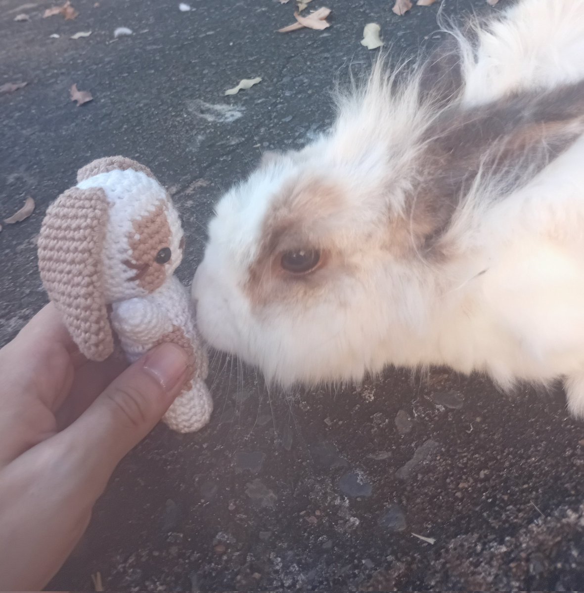 criatura vidro tweet media