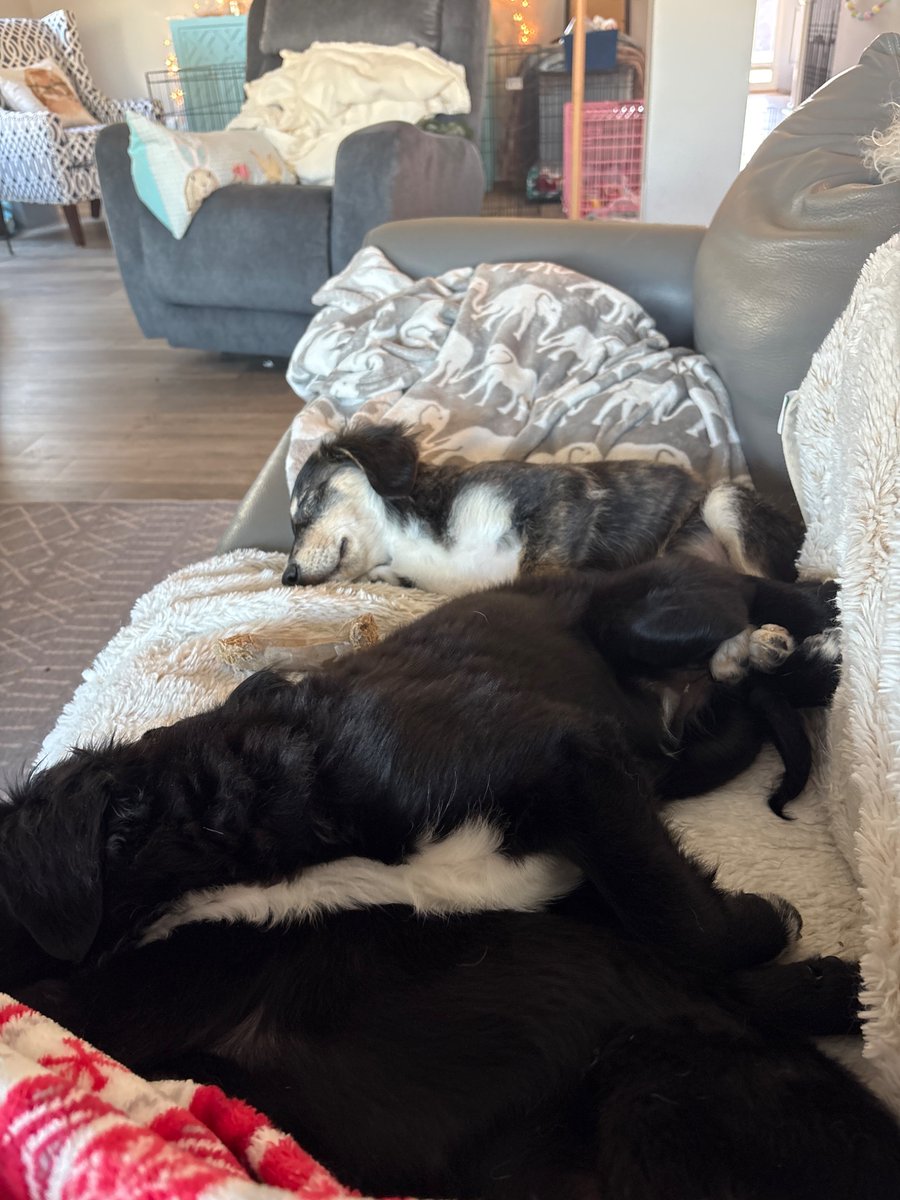 Lisa Moore ATC tweet media