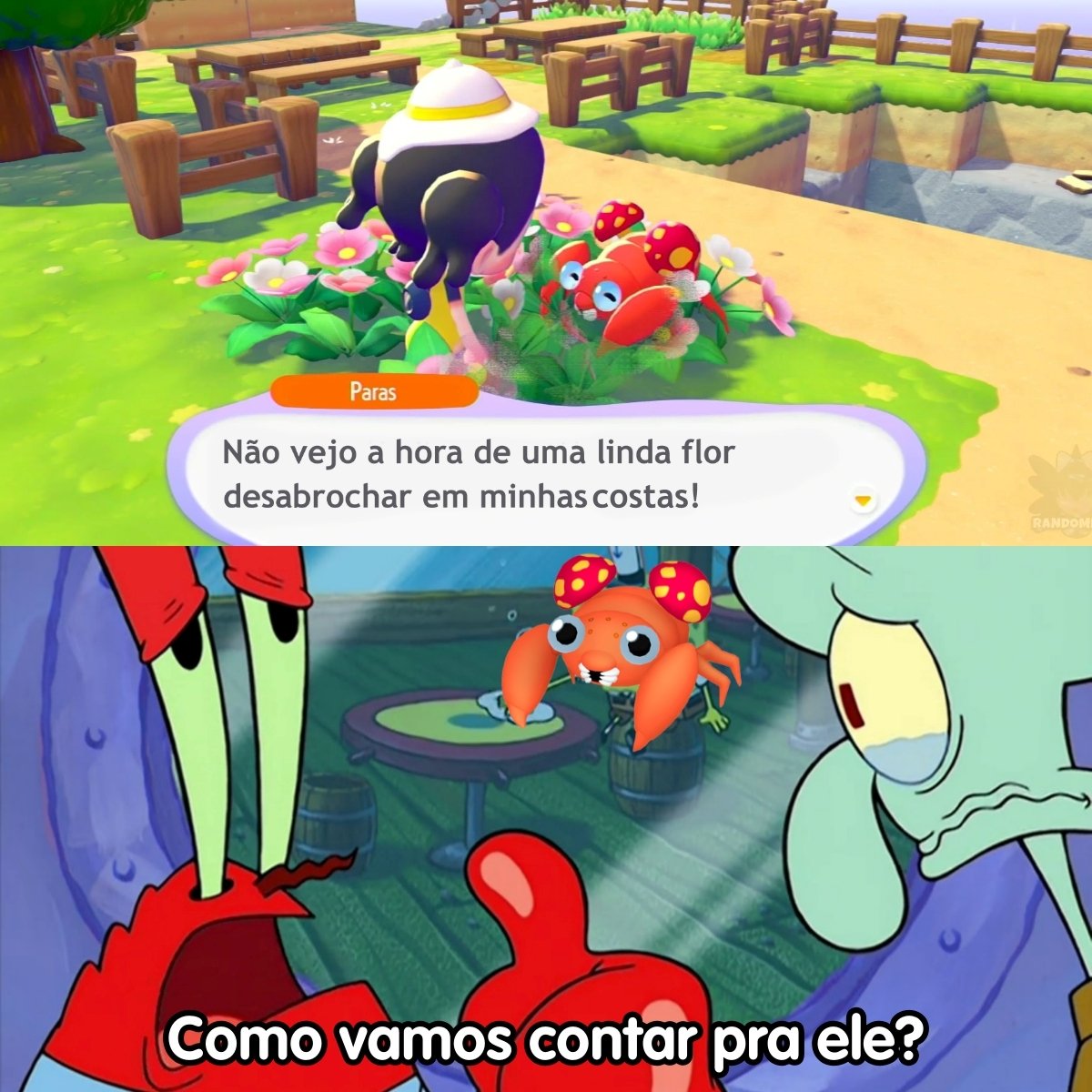 Sopa de Grookey tweet media