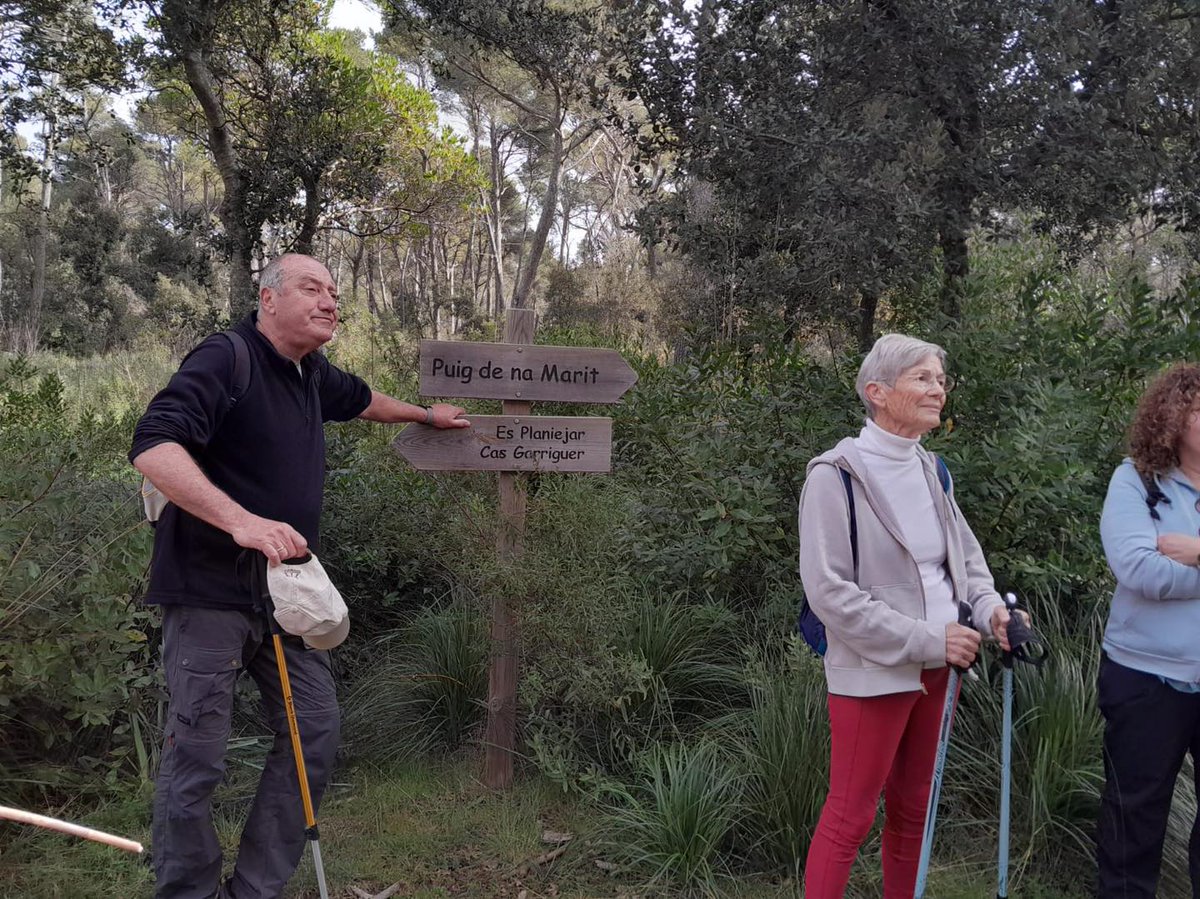 Santa Maria del Camí tweet media