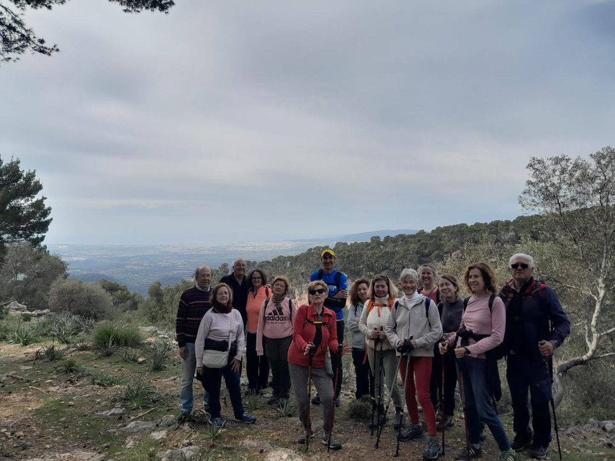 Santa Maria del Camí tweet media
