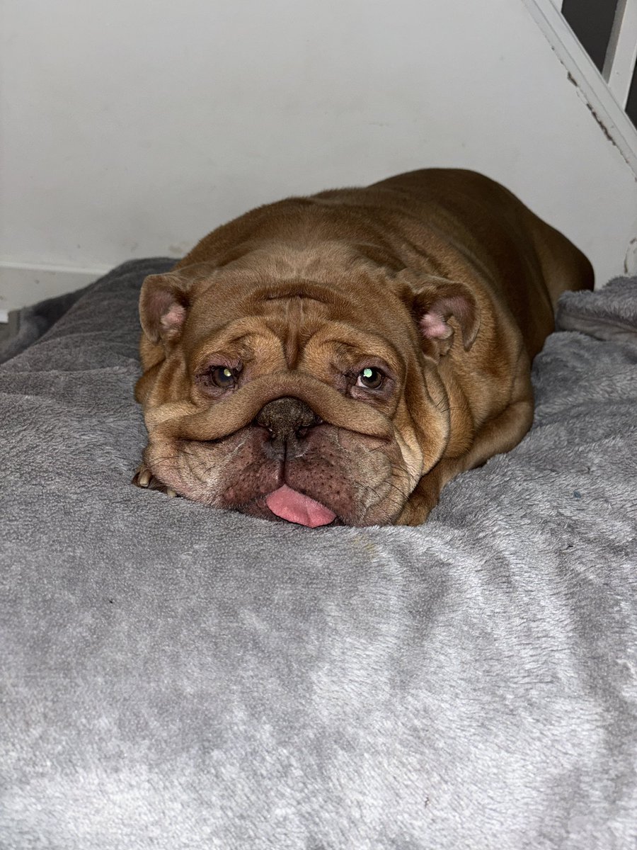 KESH😎 tweet media