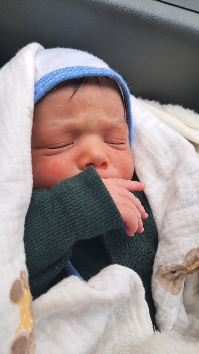 وحید شمسایی tweet media