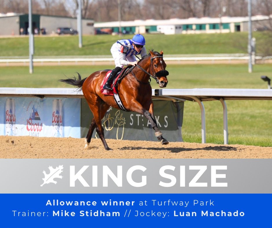 PinOakStud's tweet photo. King Size with the win 💪 Thank you @Stidhamracing and @luanmachado85! @TurfwayPark https://t.co/qyYKPzOxS4