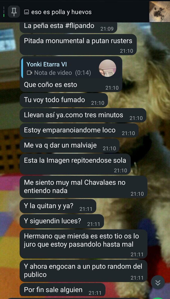 EHDP🇮🇨 tweet media