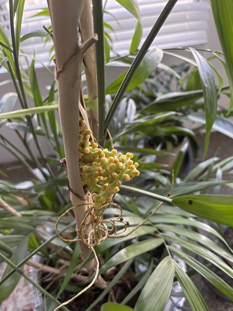 kathooks 🌎🪐🌕 tweet media