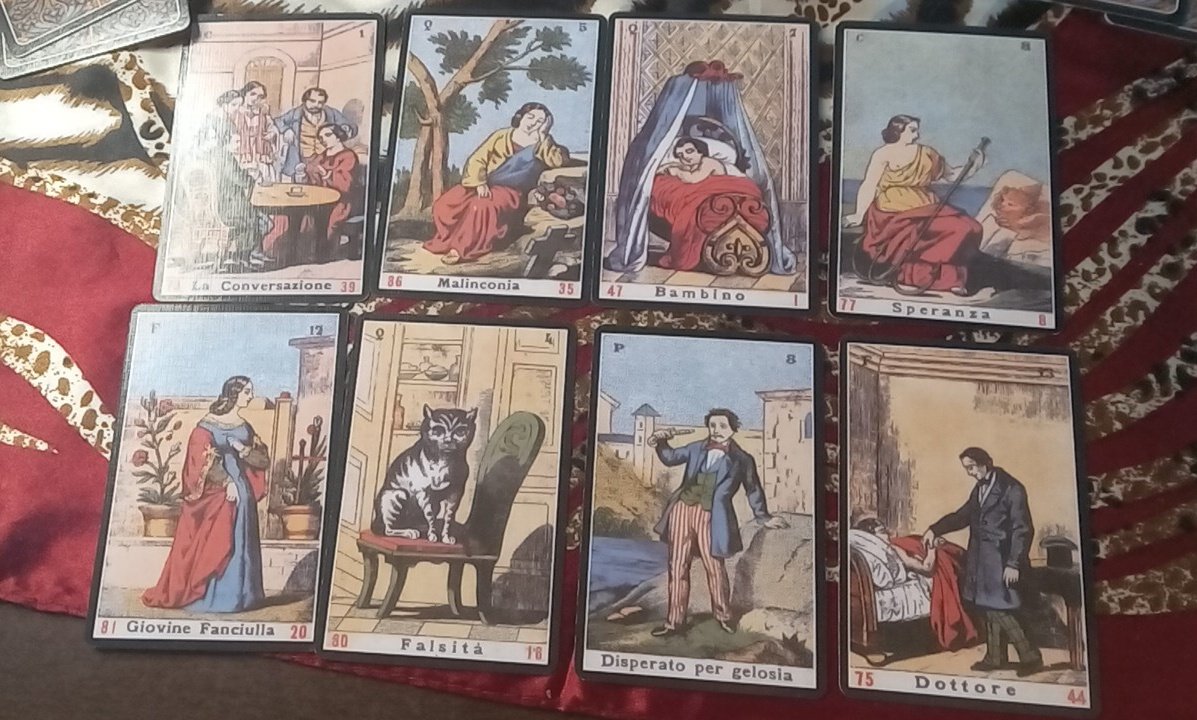 ivy 𓆉︎ cartomante tweet media