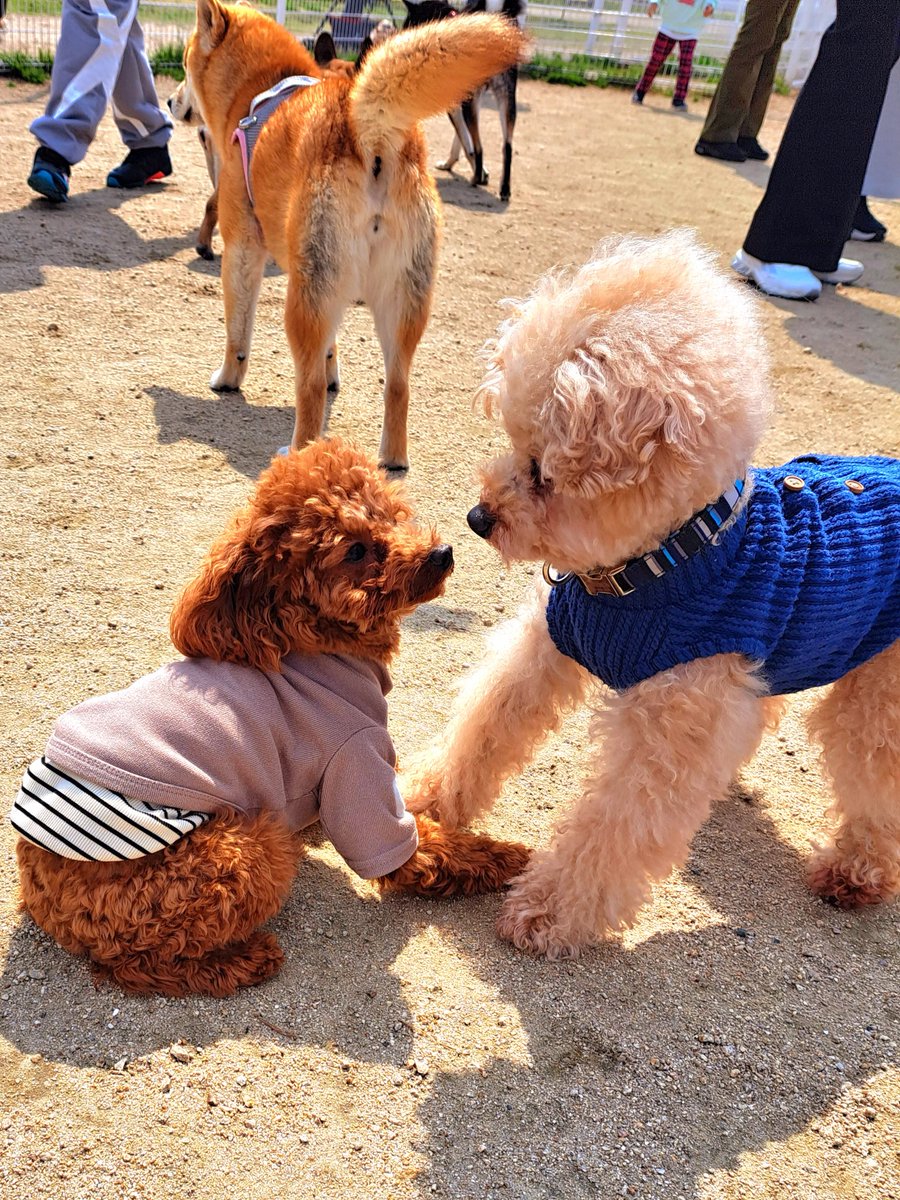 木村ちゃん tweet media