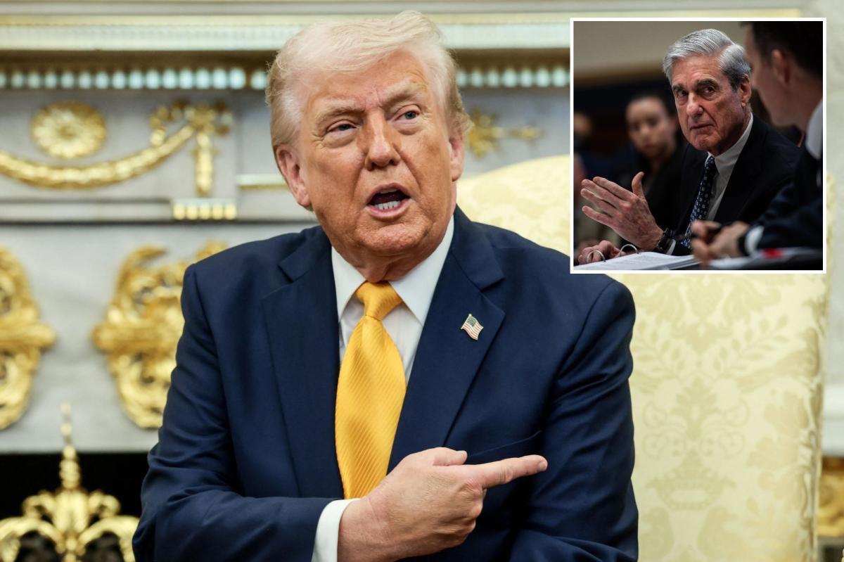 US Homeland Security News tweet media