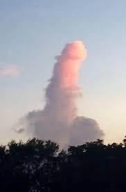 Cucker Farlson tweet media