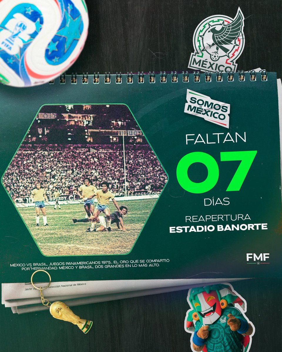 Federación Mexicana de Futbol tweet media
