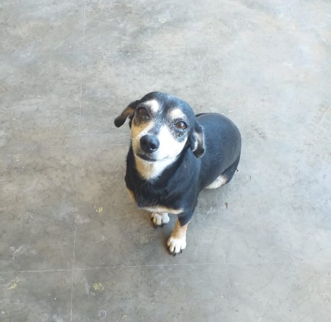 KHEXTER VEG∀S tweet media