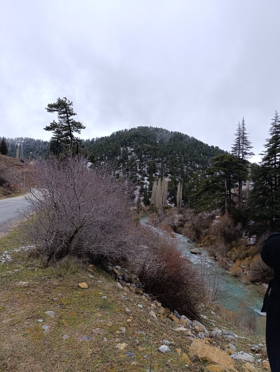 Hadim Beyreli Köyü