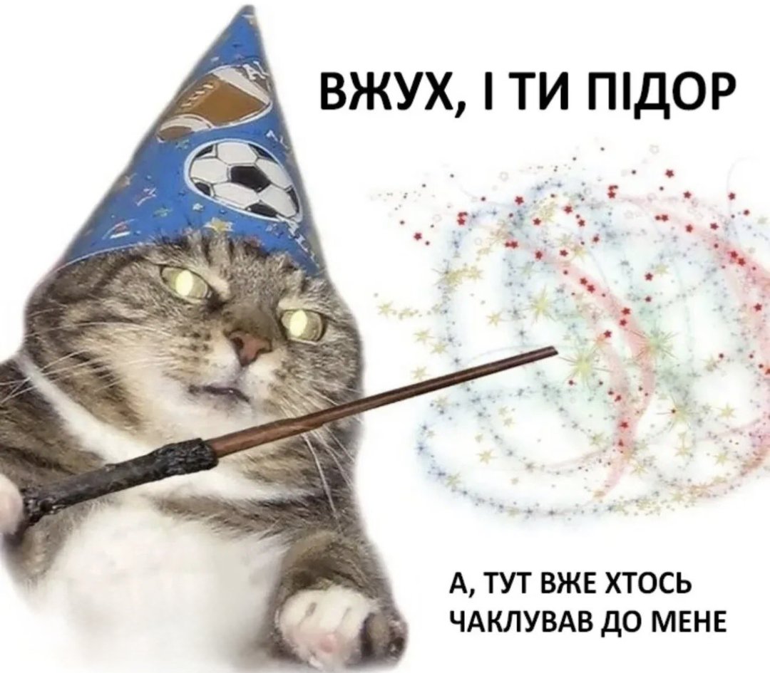 Vadym tweet media
