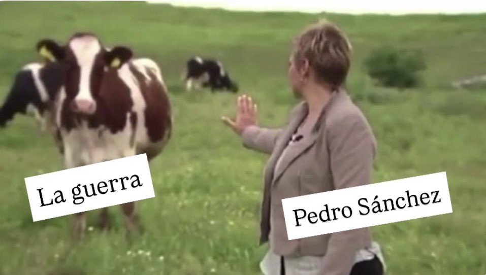 La Talaya tweet media