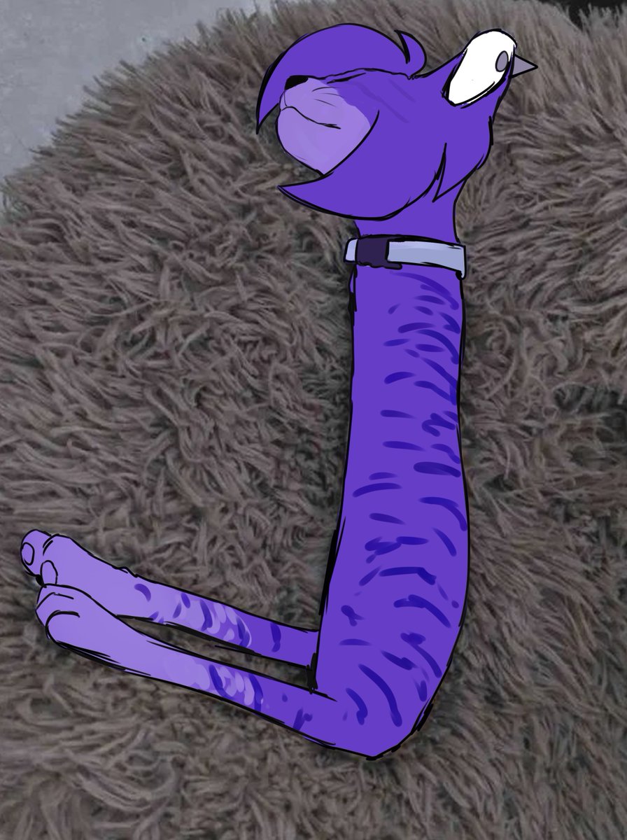 COMMS OPEN🔻Karl0🔻 tweet media