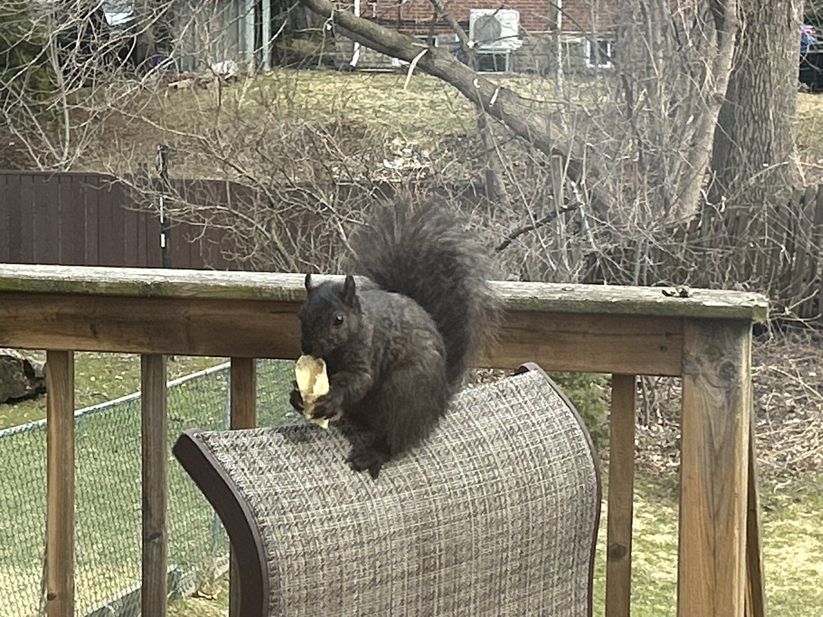 Cosmic Engineer Draedon tweet media