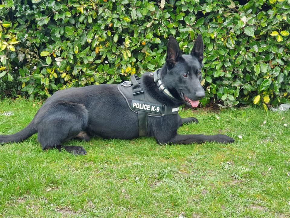 Paul Hopley tweet media