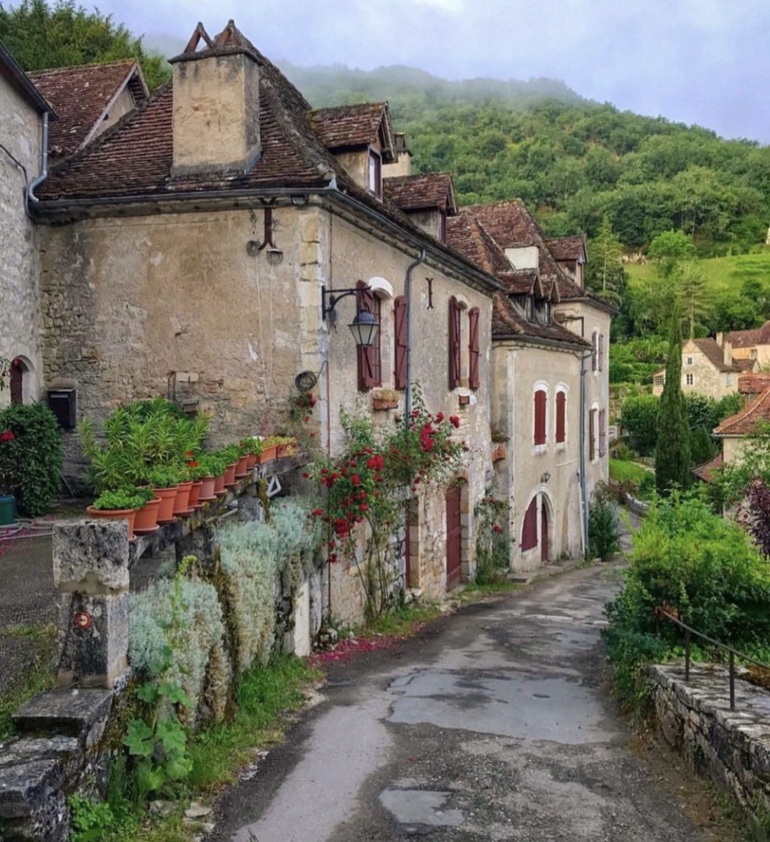 Sharon Chen Music tweet media