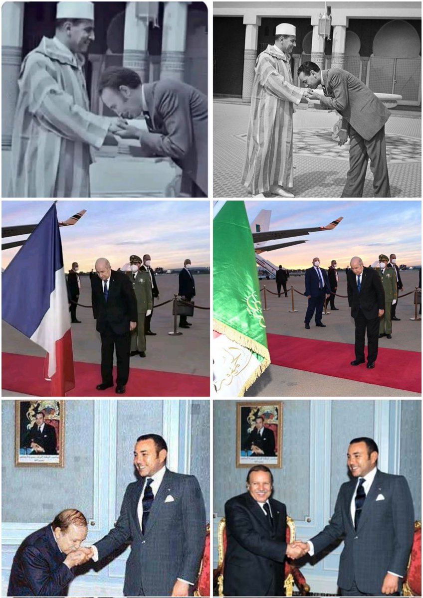 Tlemceni tweet media