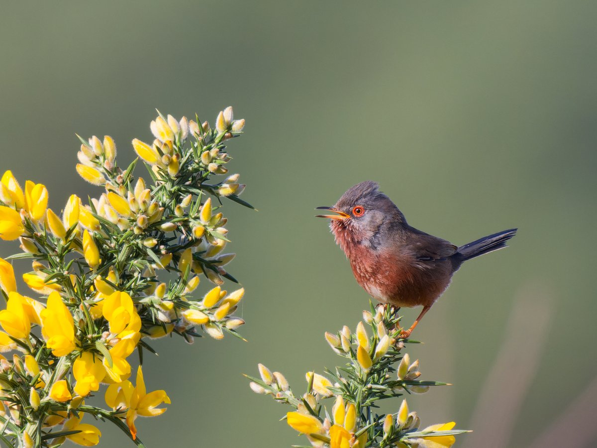 Michael Sanders tweet media